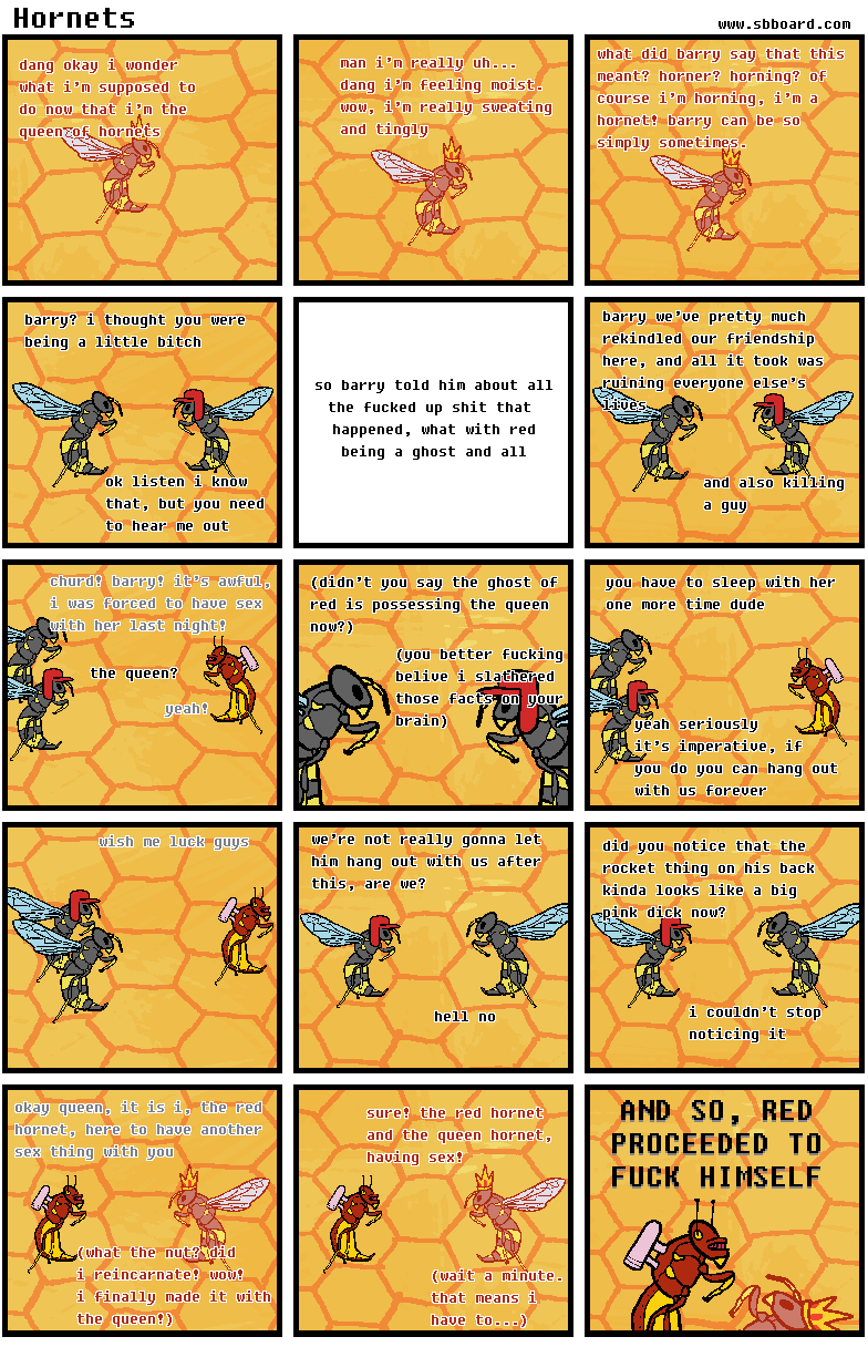 Hornets 11